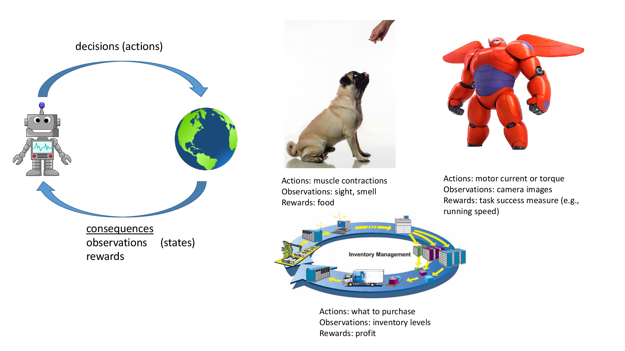 The agent chooses actions and receives new observations and rewards from the environment