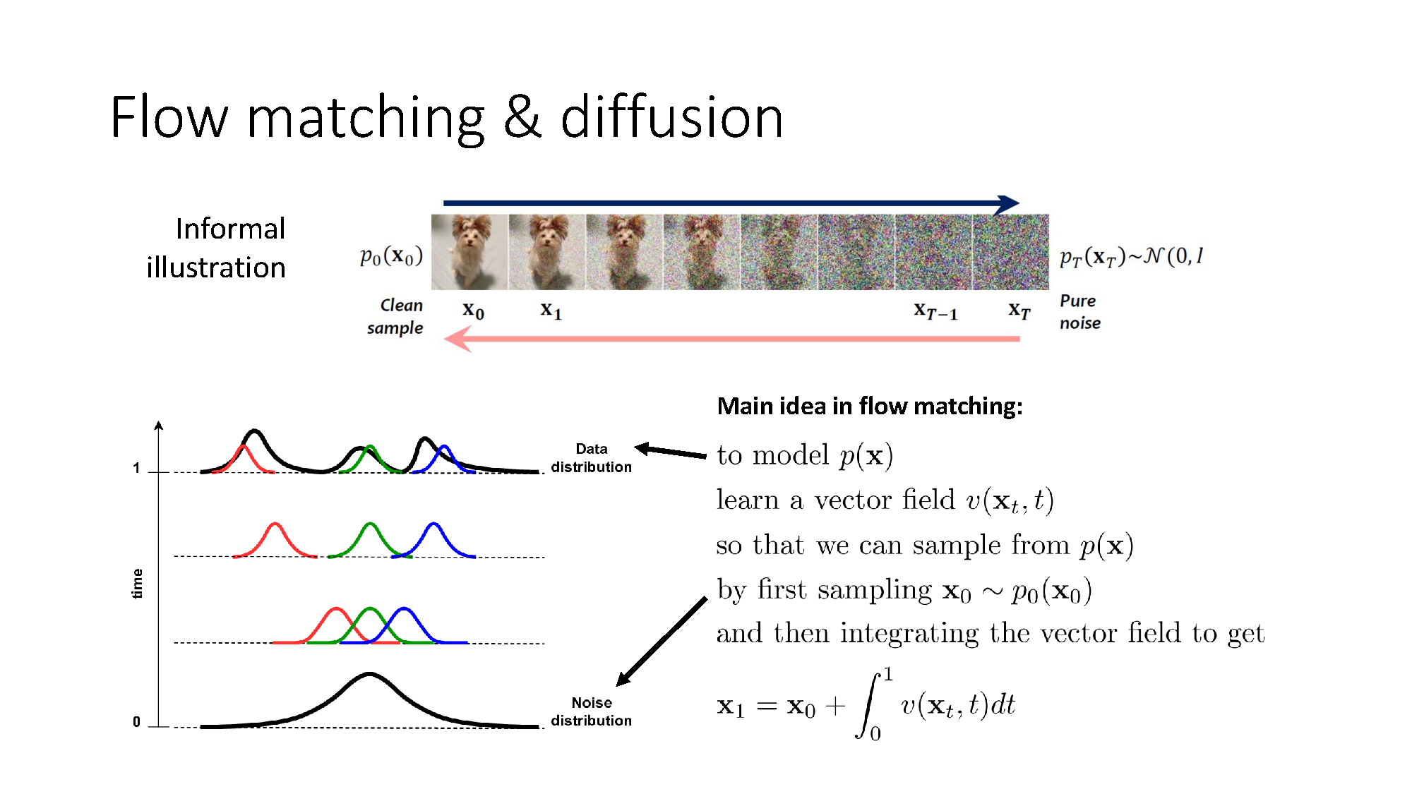 Flow matching transports noise to the data distribution