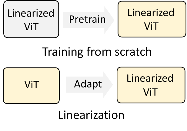 Figure 2(a): training a linearized ViT from scratch versus adapting a pretrained ViT into a linearized model.