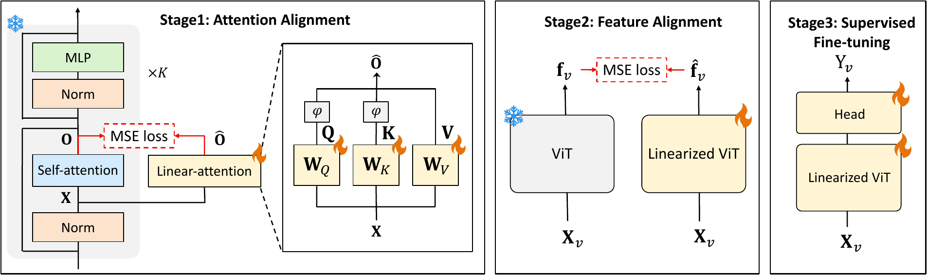 ViT-AdaLA aligns each linear-attention block to a frozen softmax teacher, then aligns full-network features before downstream fine-tuning.